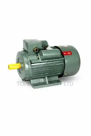 Heavy Duty Motor