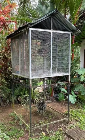 Birds Cage