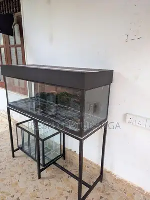 ඉක්මනින් විකිණීමට ඇත! Complete Fish Tank Set