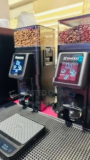 Rancilio Stile Grinder