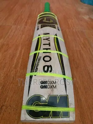 Big Edge Cricket Bat