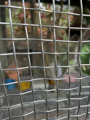 Birds Cage