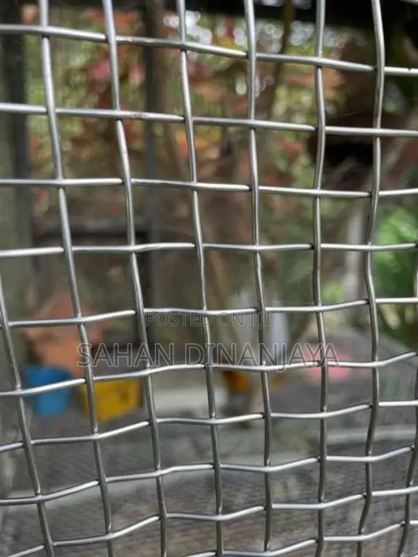 Birds Cage