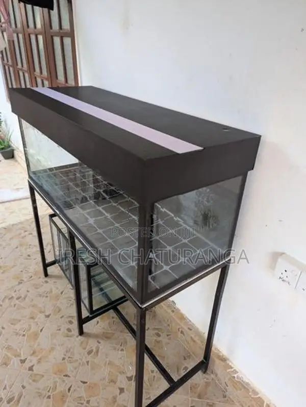 ඉක්මනින් විකිණීමට ඇත! Complete Fish Tank Set