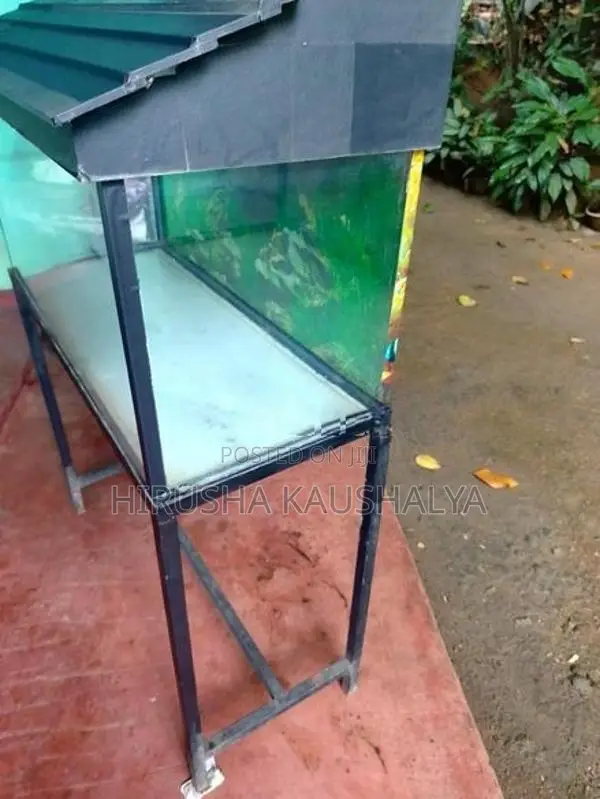Fish Tank