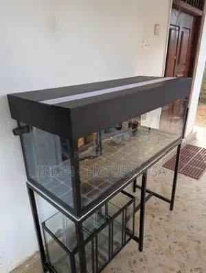 ඉක්මනින් විකිණීමට ඇත! Complete Fish Tank Set