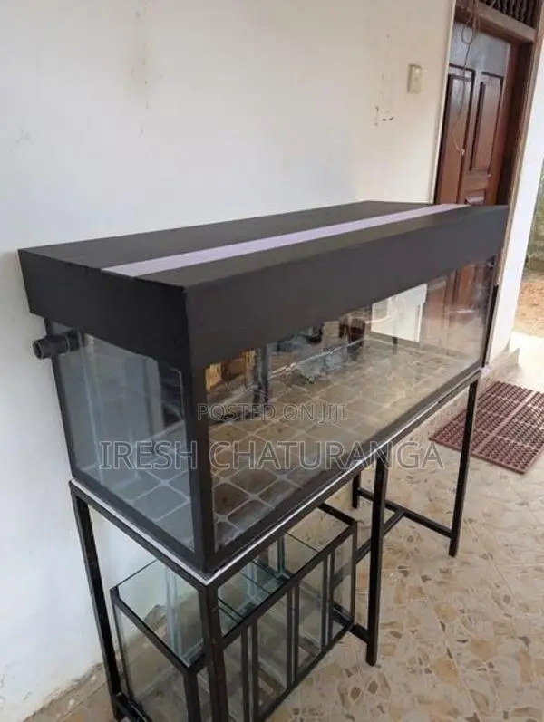 ඉක්මනින් විකිණීමට ඇත! Complete Fish Tank Set