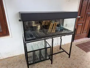 ඉක්මනින් විකිණීමට ඇත! Complete Fish Tank Set