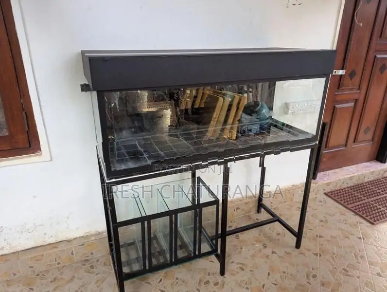 ඉක්මනින් විකිණීමට ඇත! Complete Fish Tank Set