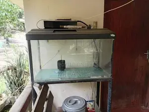 Fish Tank