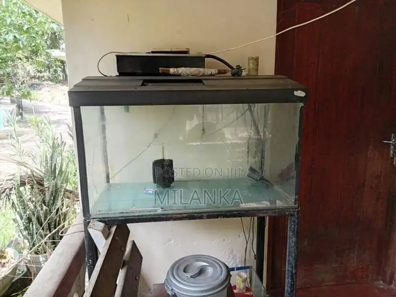 Fish Tank