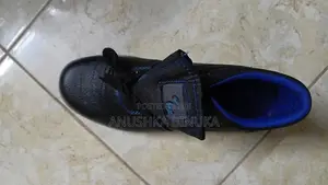 Safety Shoe