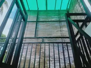 Bamboo Blind