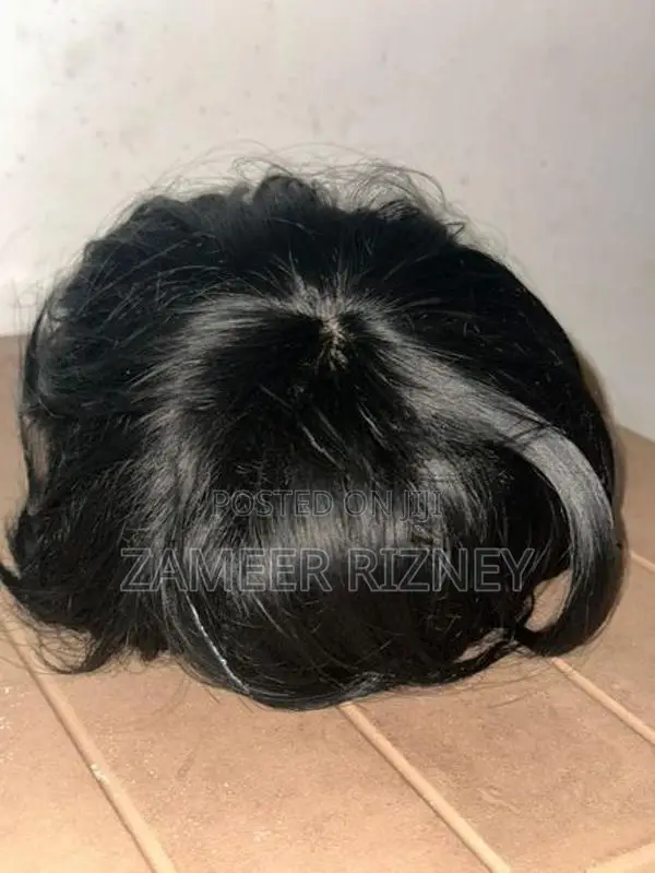 Mens Wig