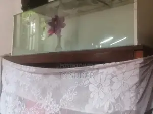4 Feet Fish Tank