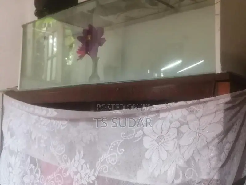 4 Feet Fish Tank