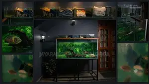 Fish Tank