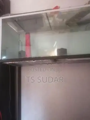 4 Feet Fish Tank