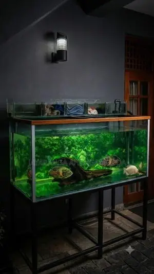 Fish Tank