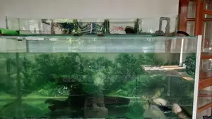 Fish Tank