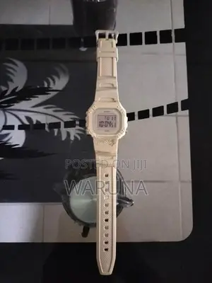 Casio Watch
