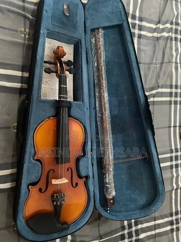 violin brand new