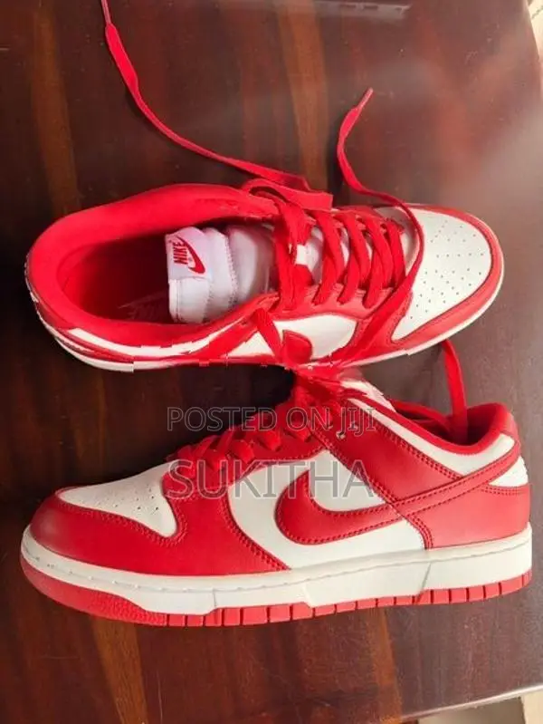 Nike Dunk Low Sneaker