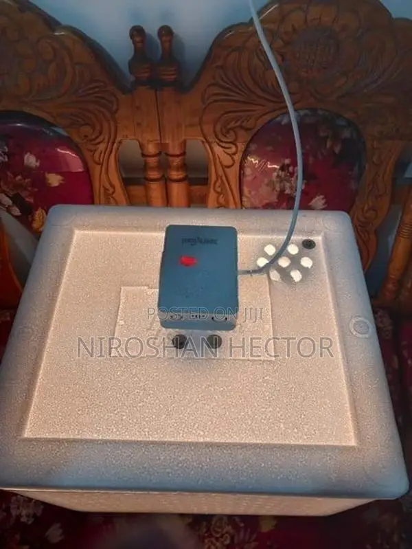 50egg incubator
