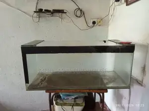 3 ft tempered glass Arowana fish tank