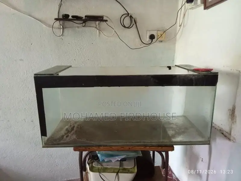 3 ft tempered glass Arowana fish tank