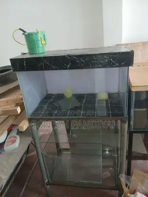 Two fish tank with double stand