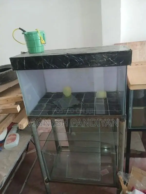 Two fish tank with double stand