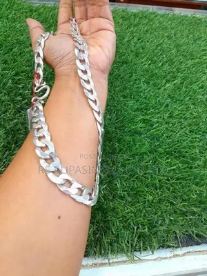 Silver Chain