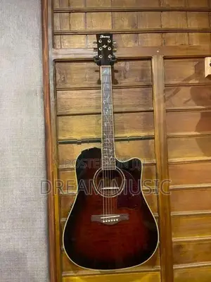 Ibanez Box Guitar