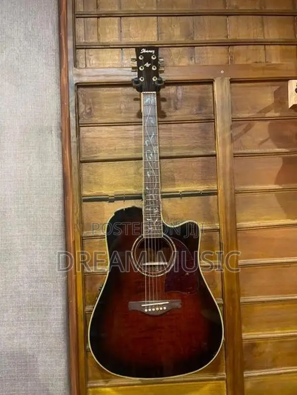 Ibanez Box Guitar