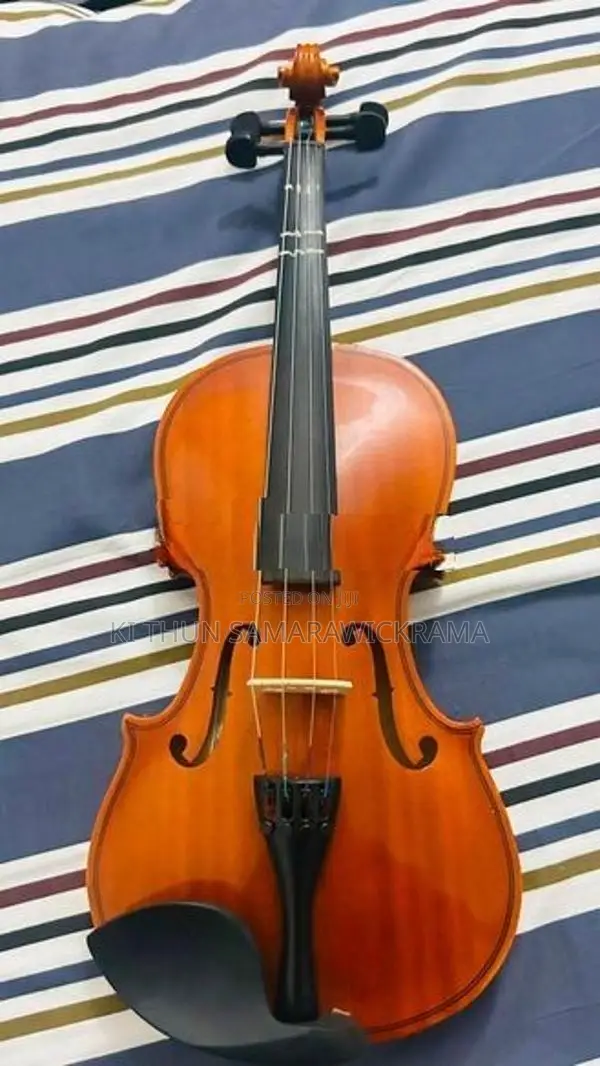Violin