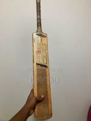 SF Cricket Bat