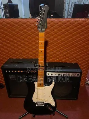 Electric Guitar