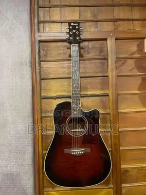 Ibanez Box Guitar