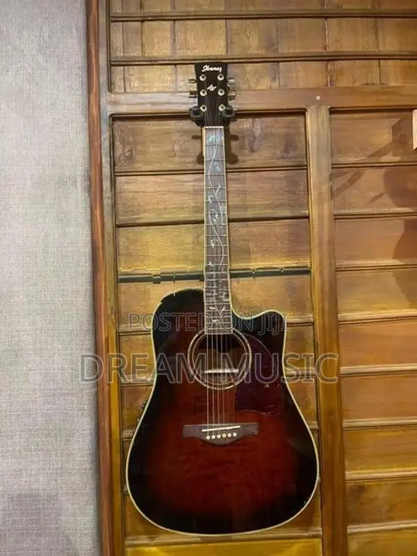 Ibanez Box Guitar