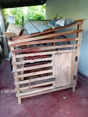 Bird Cages
