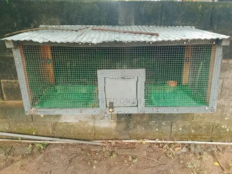 Bird Cage
