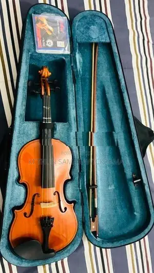 Violin