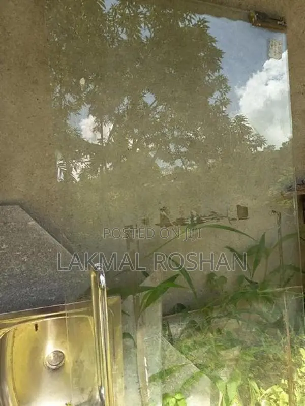 Tempered Glass Door