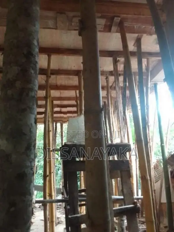 සැටලිම ක්