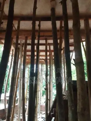 සැටලිම ක්