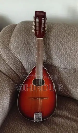 Brand new Mandolin