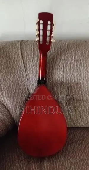 Brand new Mandolin