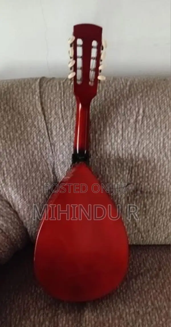 Brand new Mandolin