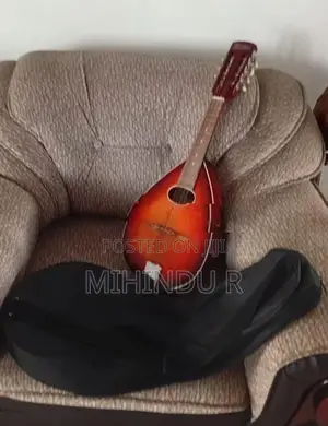 Brand new Mandolin